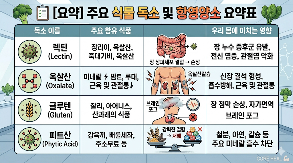 식물 독소 요약표 렉틴 옥살산 글루텐 피트산 우리 몸에 미치는 영향